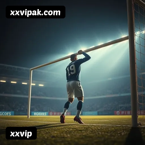 Níveis do programa VIP da xxvip